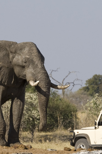 THE HARDEST: WILD TUSK