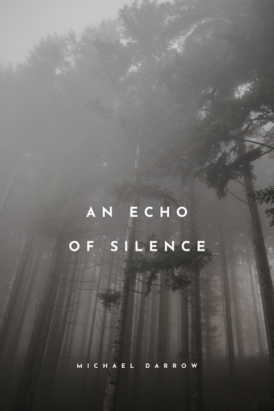 An Echo of Silence