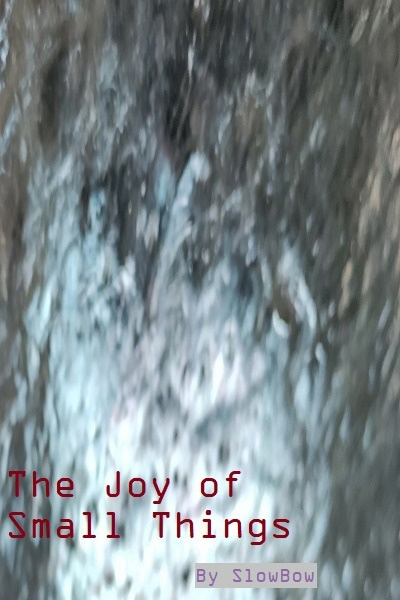 The Joy of Small Things: A Fantastical Romance
