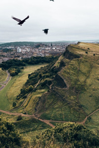 The Crow Queen of Shrikeport